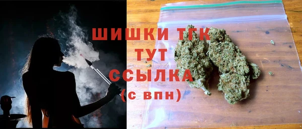 дживик Абинск