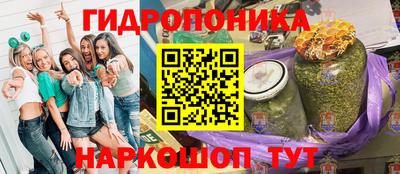 apvp Нальчик
