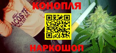apvp Нальчик