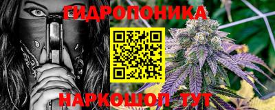 apvp Нальчик